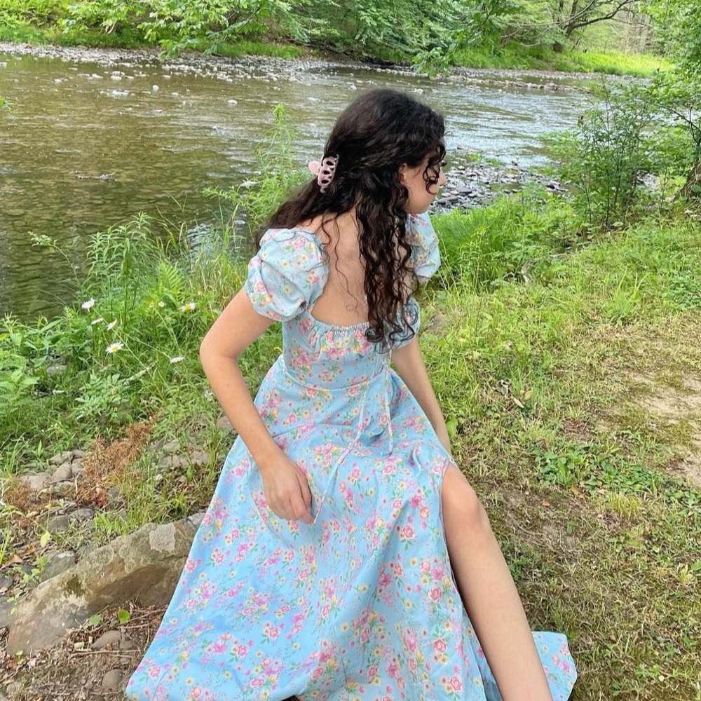 house of cb tallulah dress in blue vintage floral